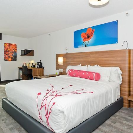 Hotel Elan Калгари Экстерьер фото